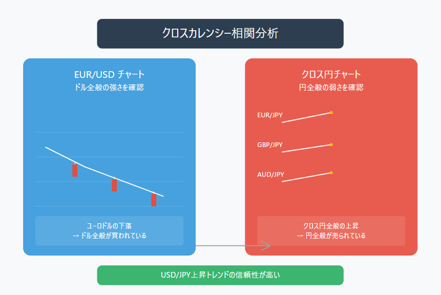 通貨間の相関分析図解:EUR/USDの下落によるドル買い圧力とクロス円全般(EUR/JPY、GBP/JPY、AUD/JPY)の上昇による円売り圧力を示す相関チャート。両者の組み合わせからUSD/JPYの上昇トレンドの信頼性を分析したインフォグラフィック。