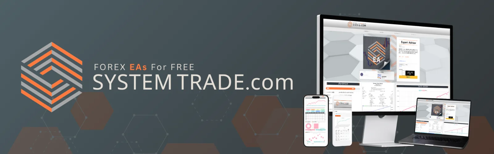 What is SYSTEMTRADE.COM? 『Unlimited Free FX Automated Trading (EA)』の画像
