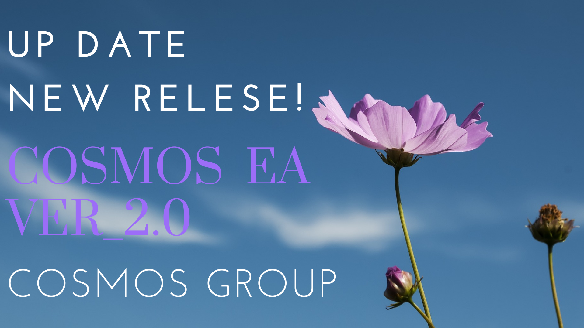 COSMOS GROUP