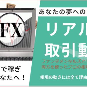 プロトレーダーによるＦＸリアル取引トレード動画全集 251選（2019～2024年）